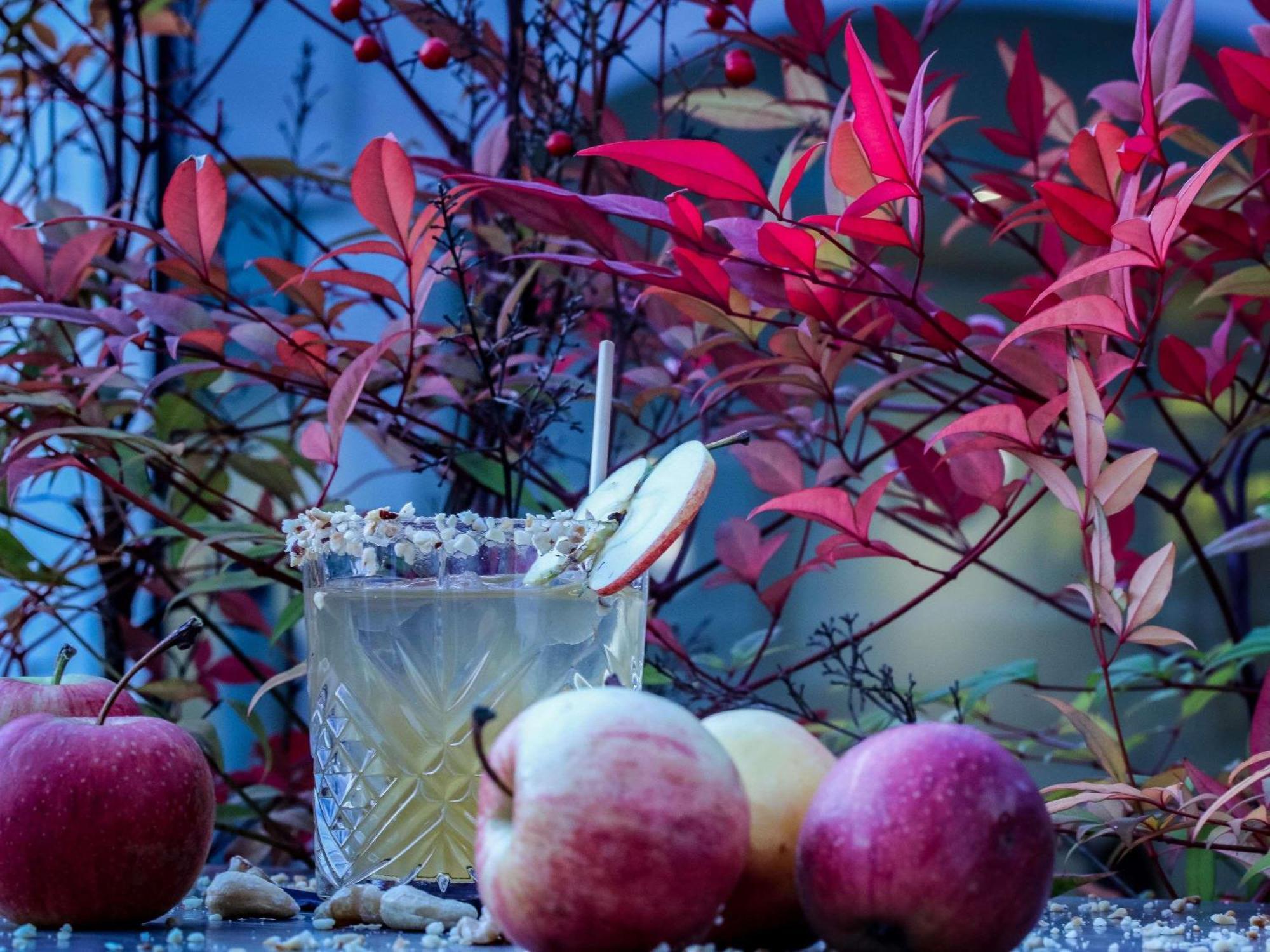 Mercure Aix-Les-Bains Domaine De Marlioz Hotel & Spa Εξωτερικό φωτογραφία